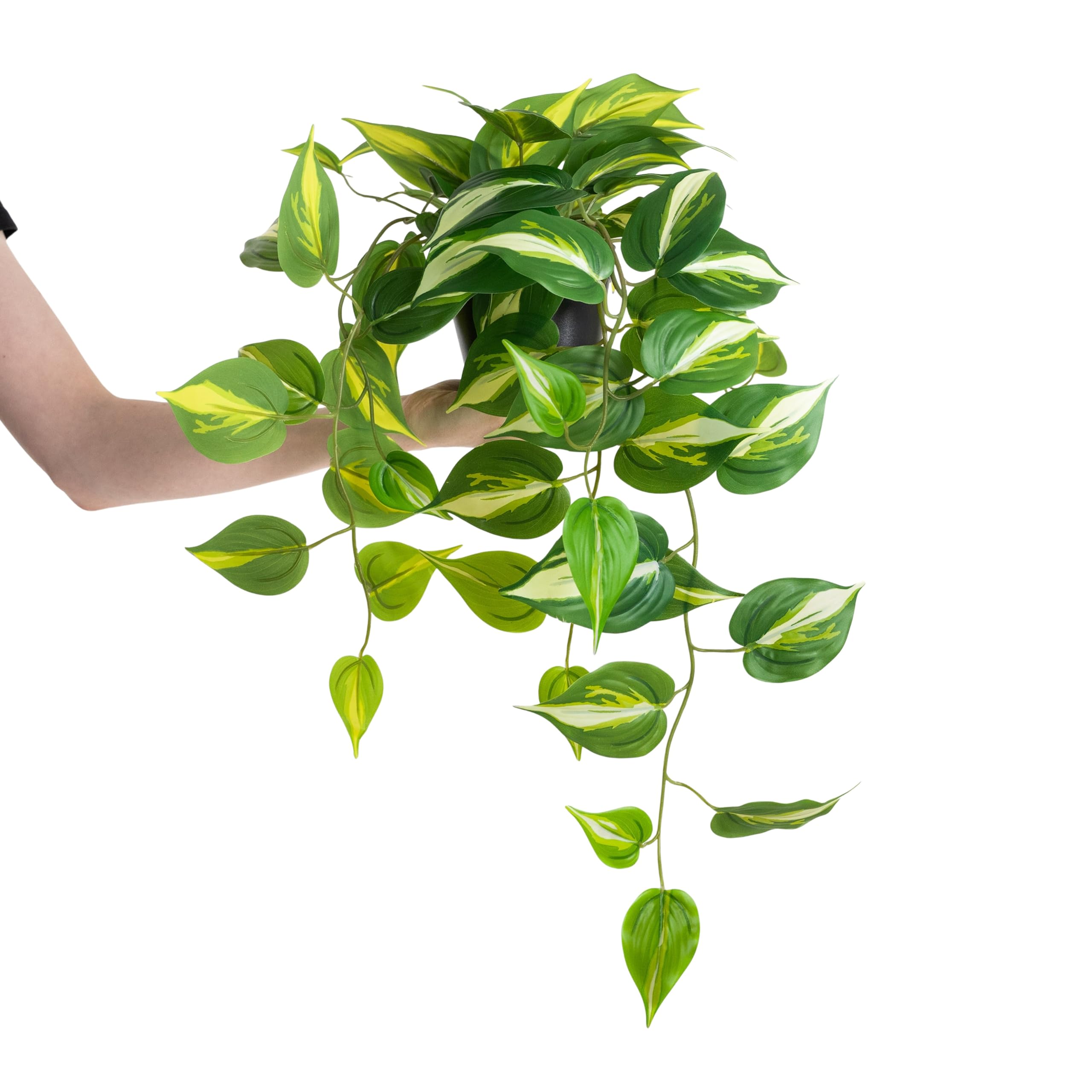 Artificial Devil's Ivy Pothos Plant, 70cm Indoor Trailing Plant, Variegated Green Leaves In Black Pot