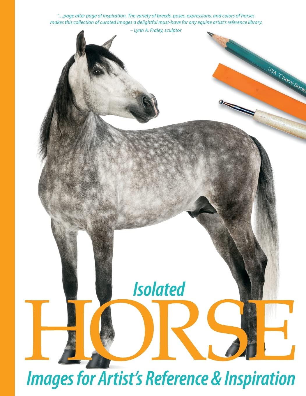 Isolated Horse Images for Artist's Reference and Inspiration: Volume 2