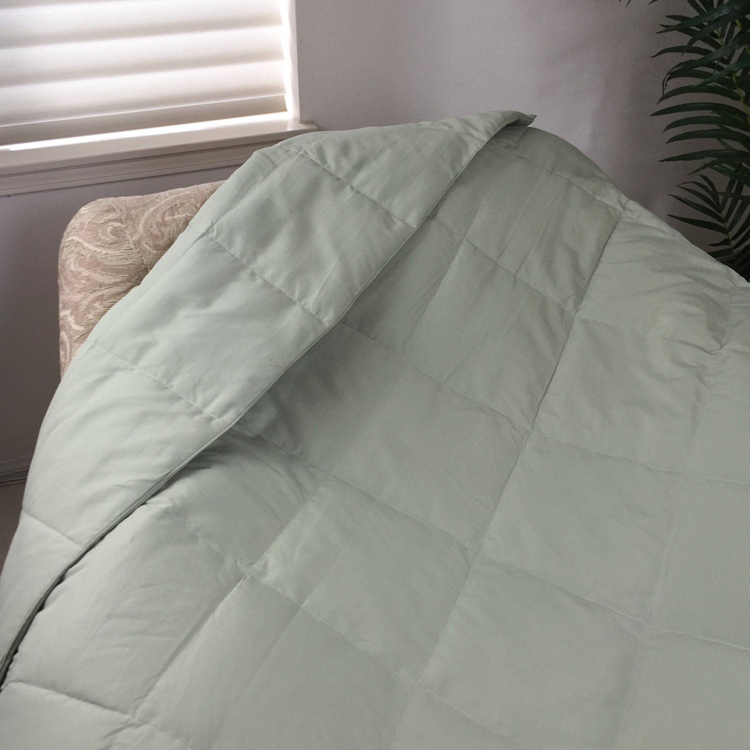 Amazoncom Luxlen Seasons Sage Down Lap Throw Blanket Home Kitchen Amazoncom Luxlen Seasons Sage Down Lap Throw Blanket Home Kitchen