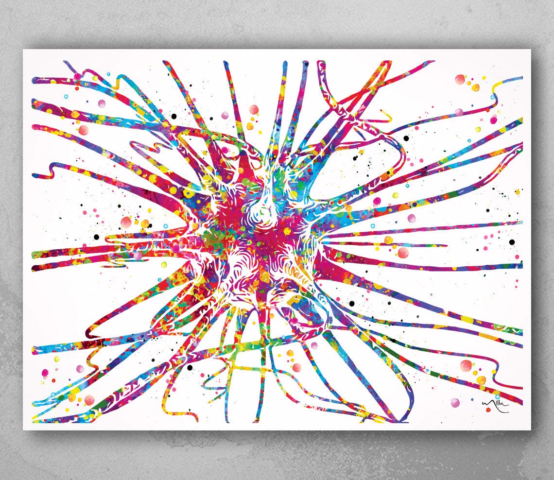 Cocomilla Brain Cell Watercolor Print Neuron Art Science Gift Neurology Nerve Cell Medical Student Brain Wall Art Neuroscience Gift Clinic Decor-926