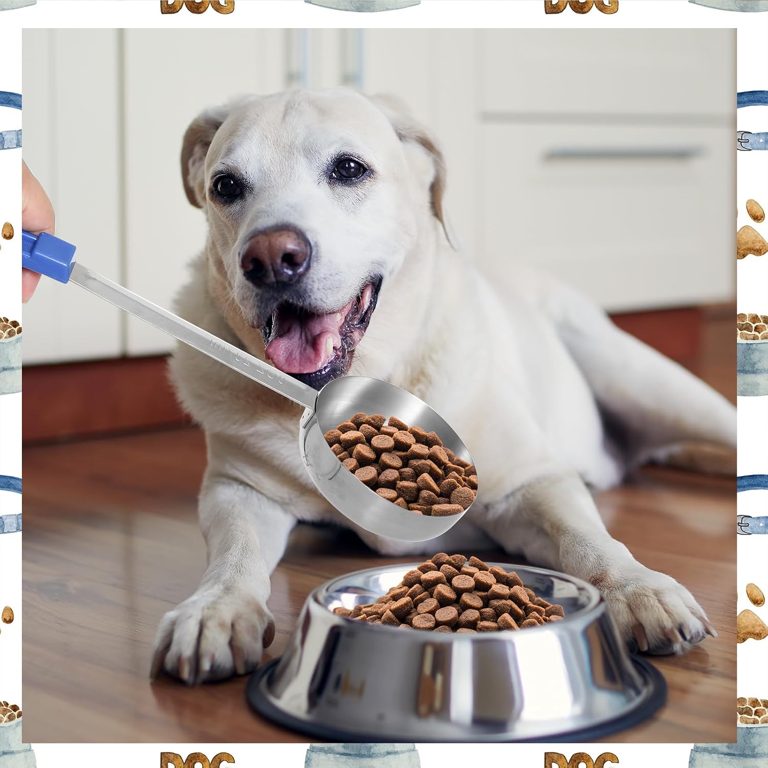 2 Pcs Dog Food Scoop1 Cup,Stainless Steel Measuring Cups with Long Handles
