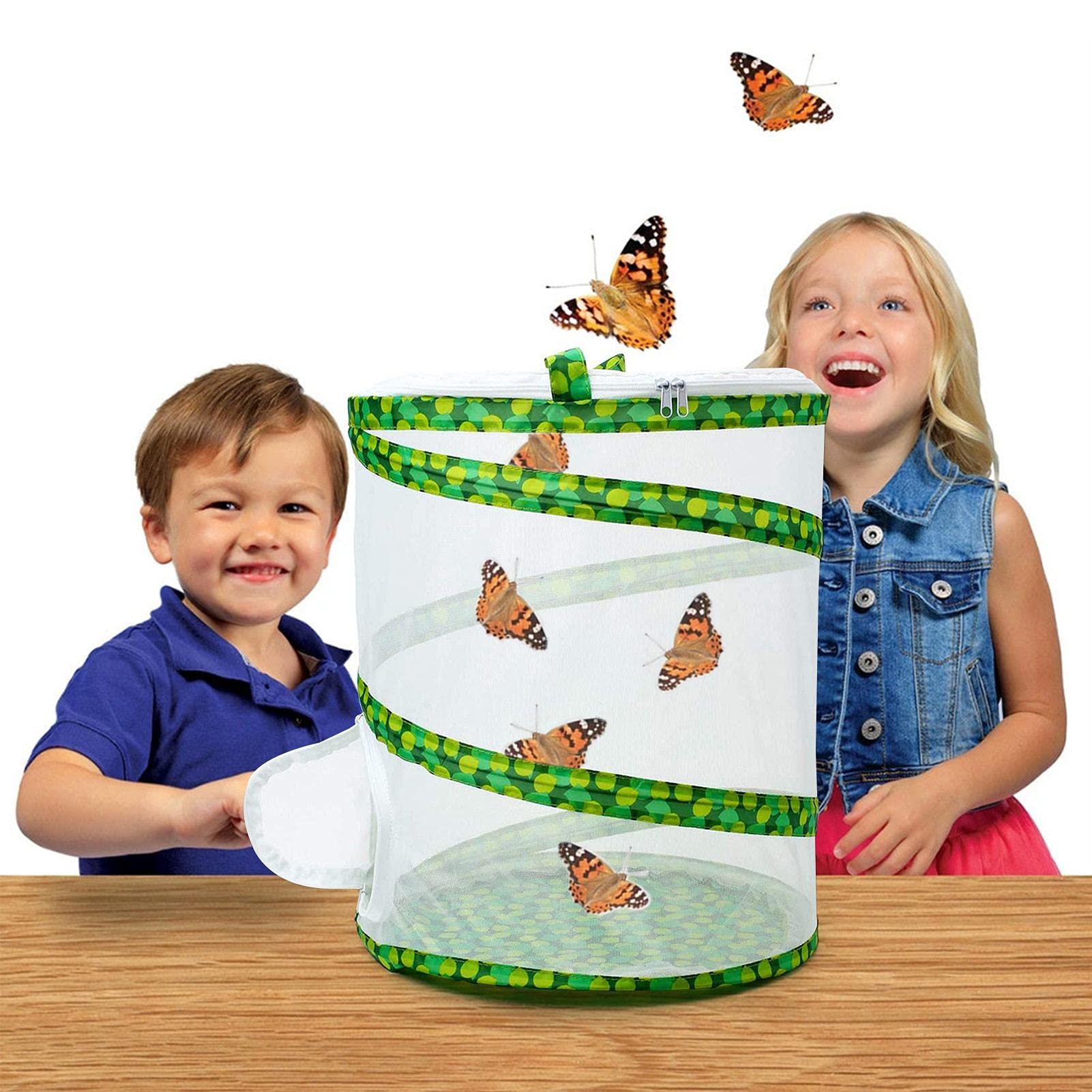 Cage d'élevage d'insectes pliable, filet de protection pour papillon et scarabée, portatif