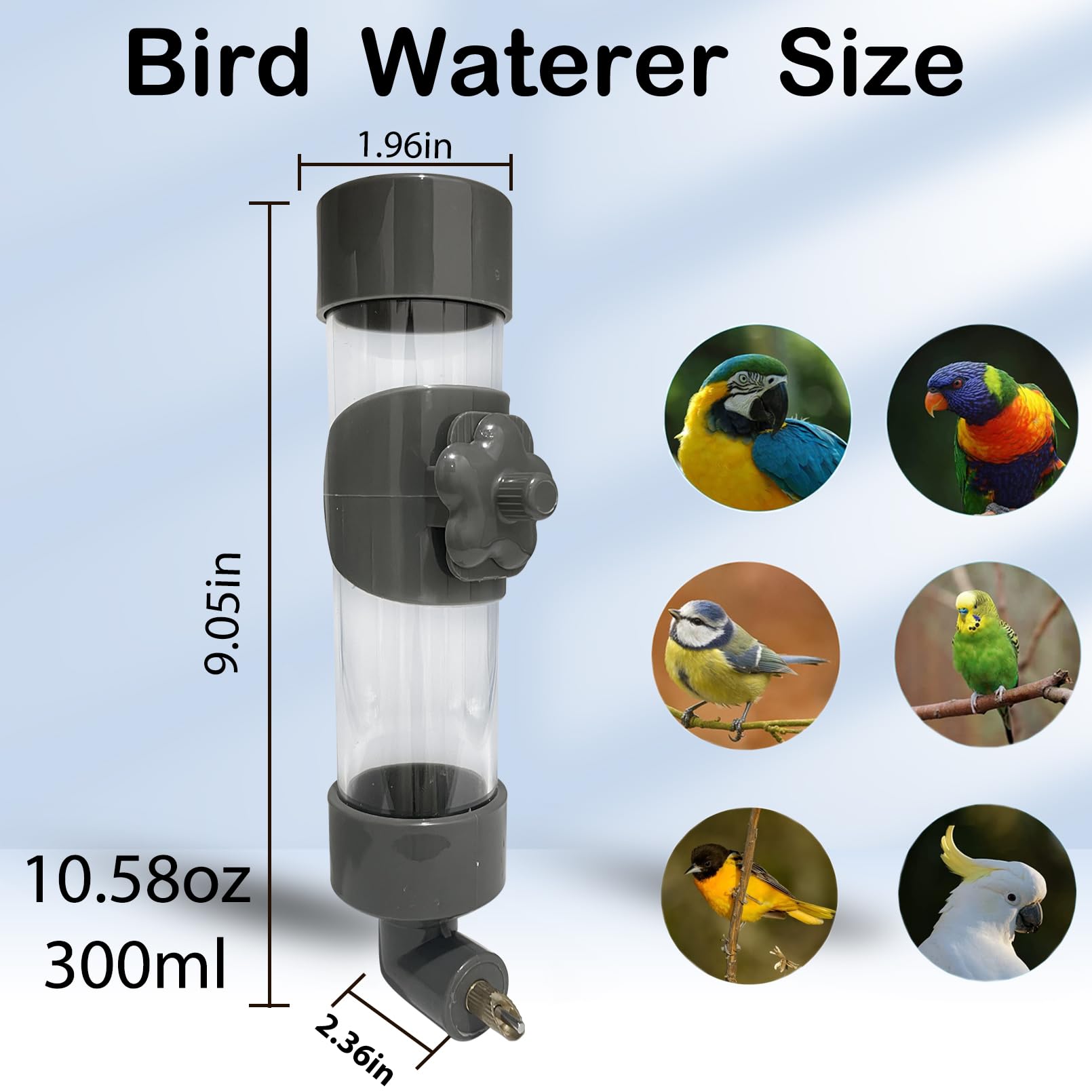 Niwaes Bird Drinker Waterer Parakeet Water Dispenser for Cage Bird Drinking Water Bottle Parrot Automatic Drinking Device for Budgie Cockatiel Lovebirds Canary Finch Gray (10.5oz/300ml)
