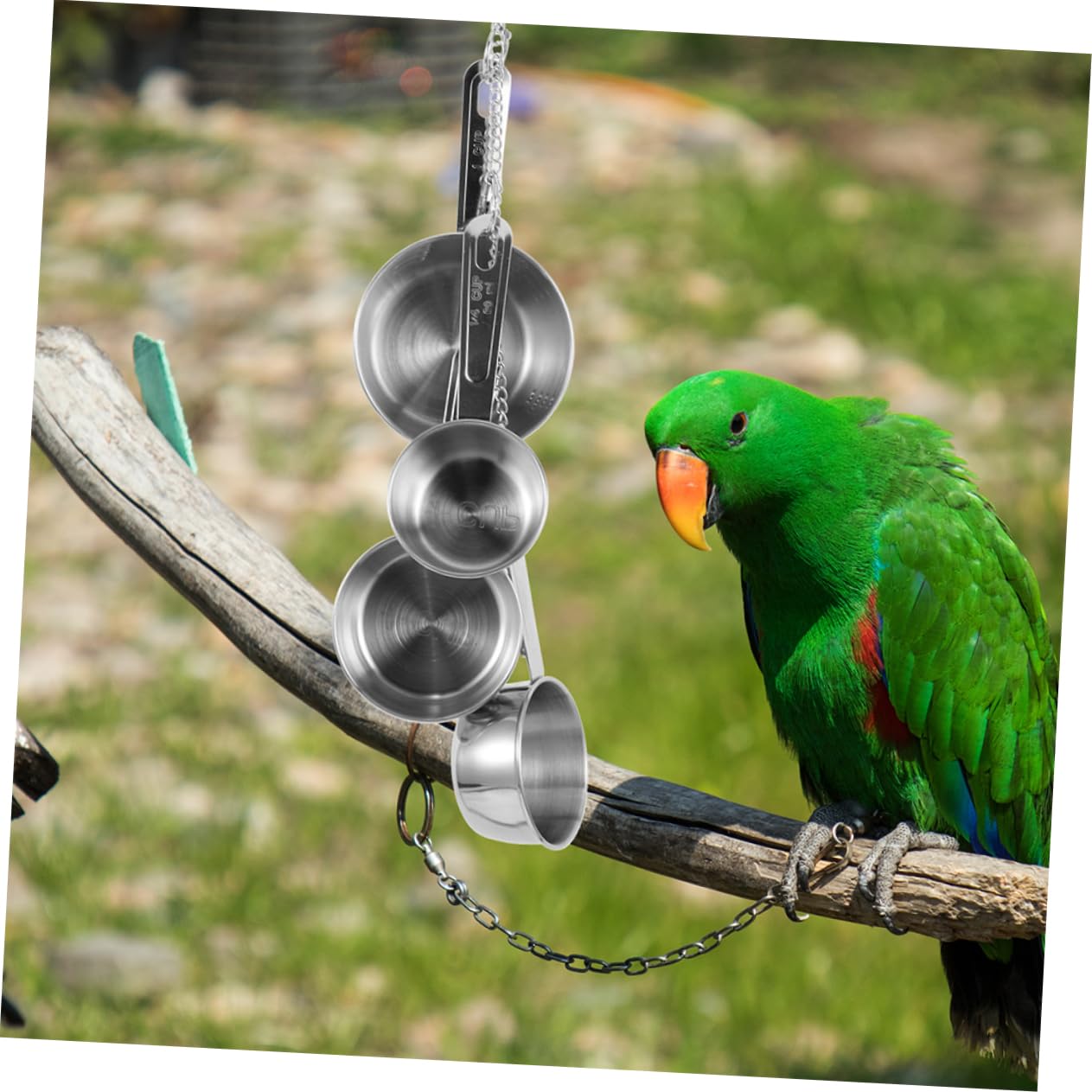 2pièces Jouet Suspendu Acier Inoxydable pour Oiseaux Accessoire à Mâcher pour Perroquets Et Oiseaux Jouet De Forage Amusant pour Cage