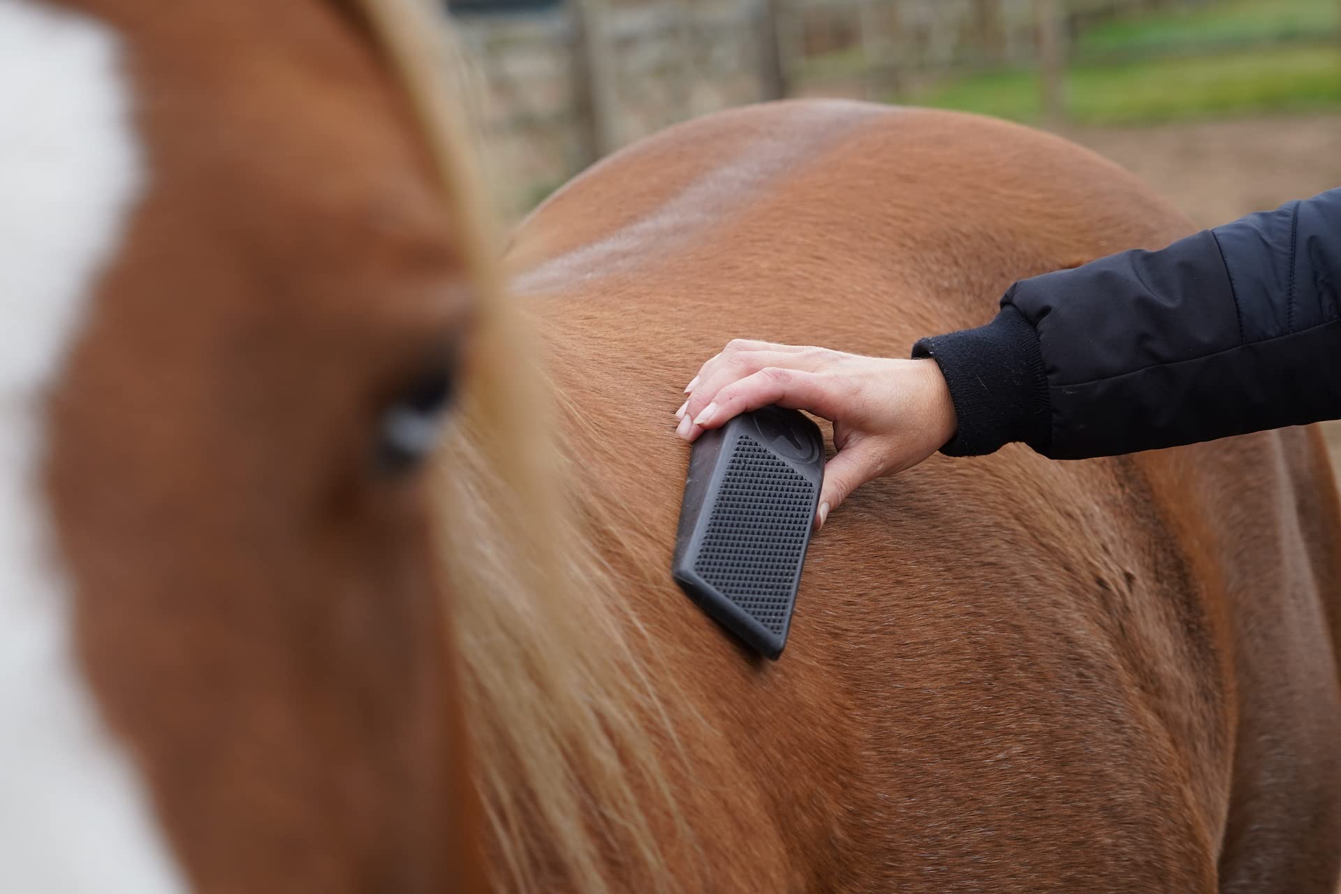 EXCELLENT Cepillos Para Caballo Excellent Horse Grooming Brush Negro