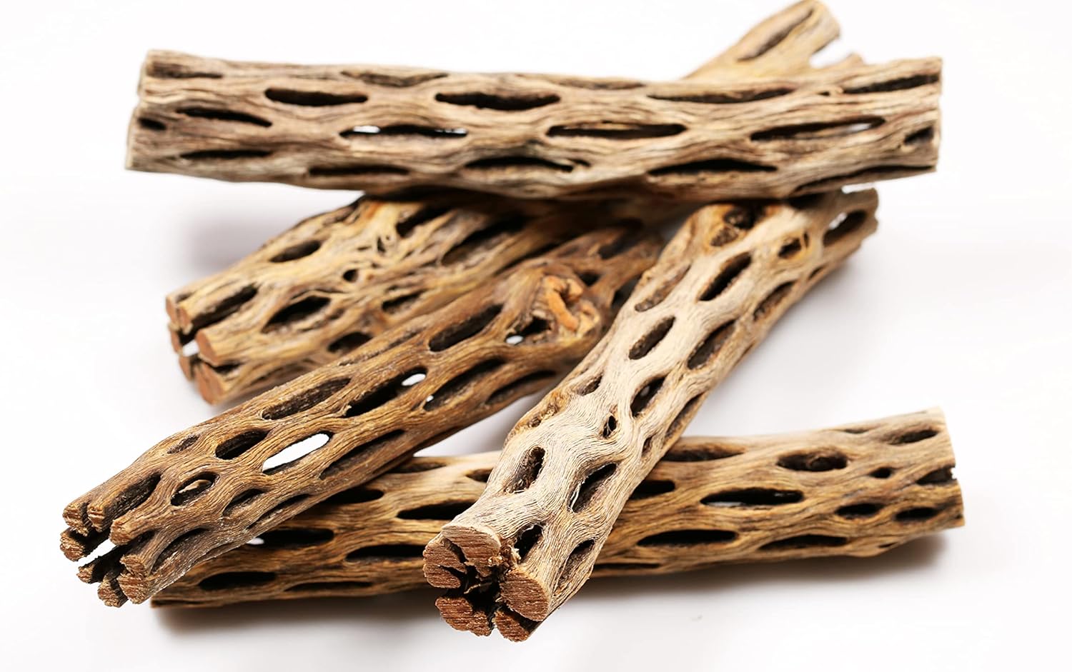 Premium Natural Cholla Wood for Aquarium Decoration, Hermit Crabs, Shrimps (6” Long) (15 Pack)