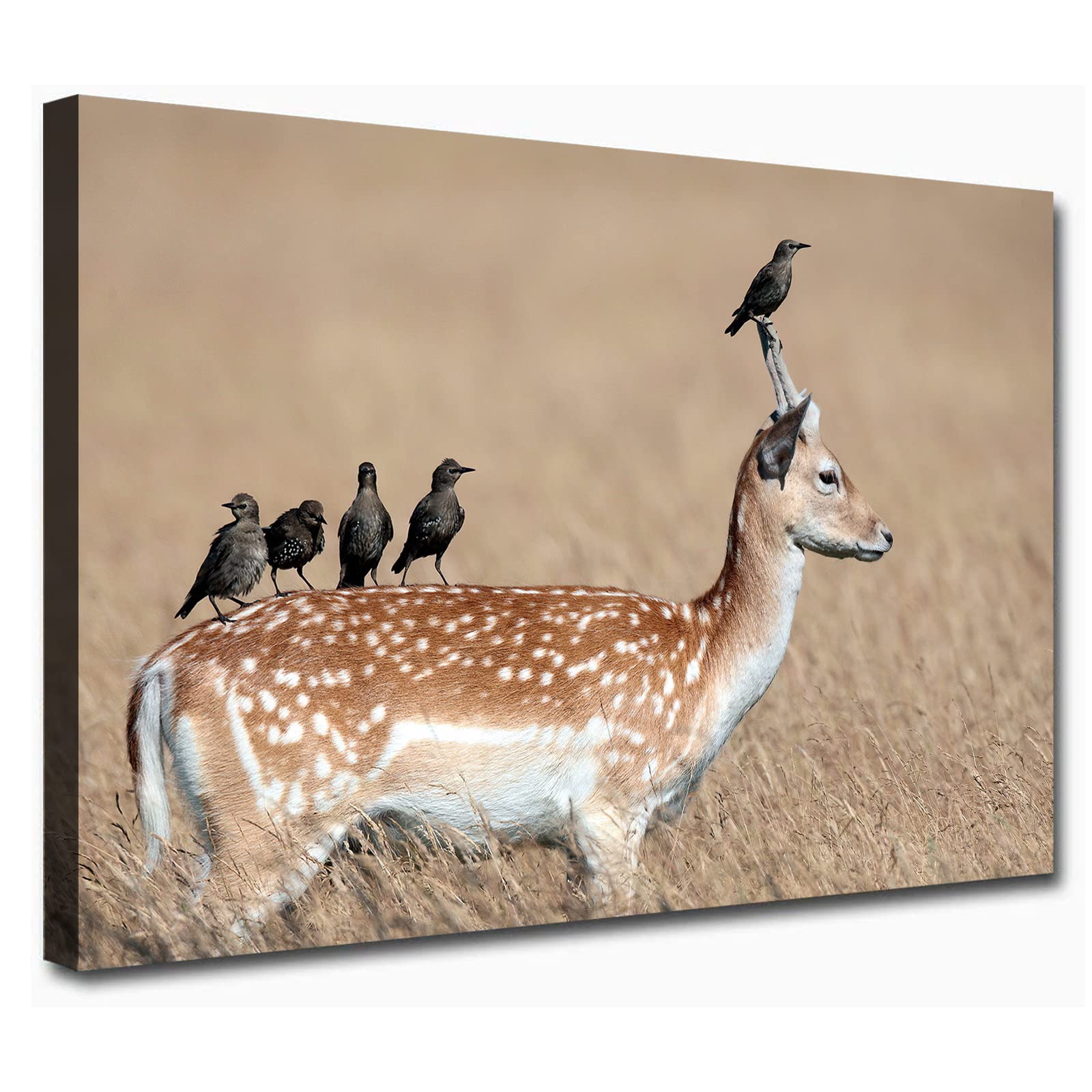 Amazon.co.jp: 鹿 キャンバス ウォールアート 動物 野生動物