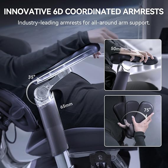 SIHOO Doro S300 Ergonomic Office Chair, Full-Body Coordinated Support