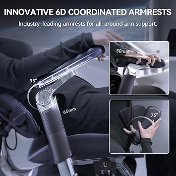SIHOO Doro S300 Ergonomic Office Chair, Full-Body Coordinated Support