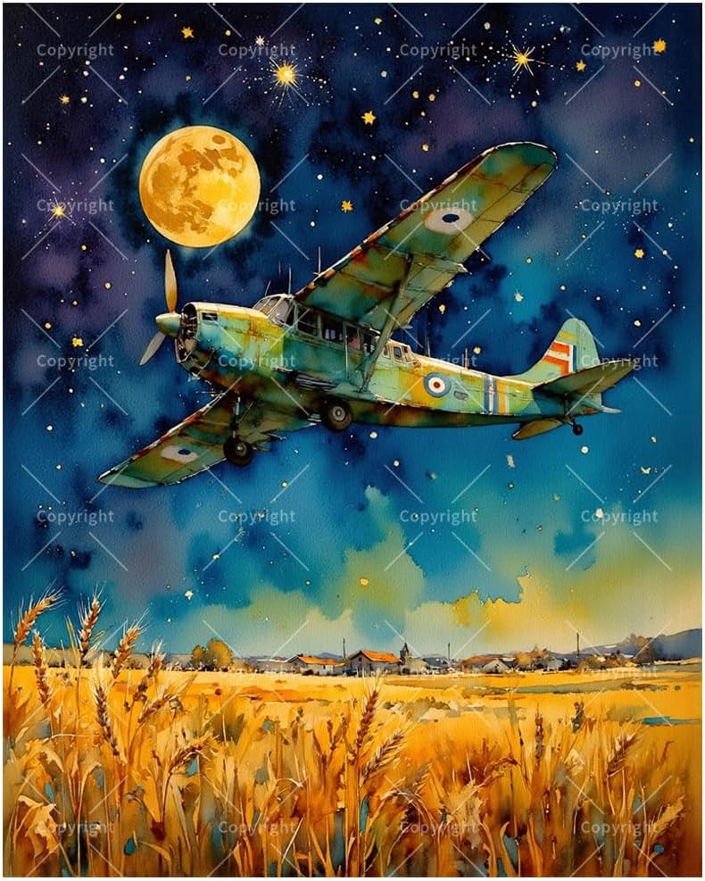 ENTORLAB Night Sky Adventure Paint by Numbers Kit for Adults - DIY Airplane Flying Under Full Moon Painting on Canvas 16x20In, Acrylic Paint Set, Suitable for Beginners, Art for Home Decoration/Gifts