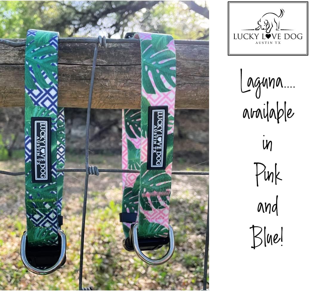 Lucky Love Dog Martingale Collar and Leash Set, Premium No Slip Martingale Collar for Medium Boy Dogs, Great for Whippets, Greyhounds, and More (Medium, Blue Laguna - Combo)