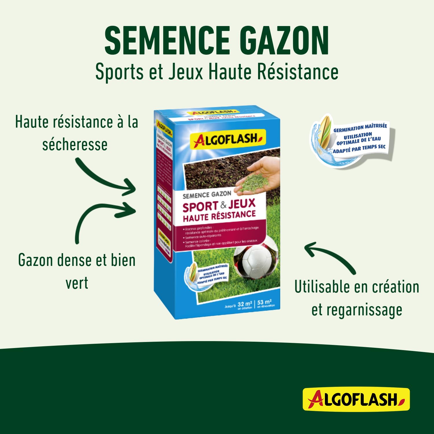Algoflash Semence Gazon Sport & Jeux Haute Résistance 800 g