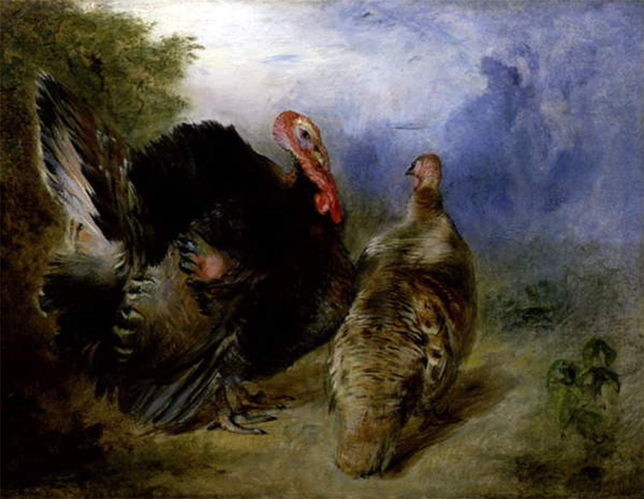 ARTXLXXBN Famous Print Painting Colorful Art Print Turkeys by William Huggins Canvas Art Decorations for Home Decor 60x90cm
