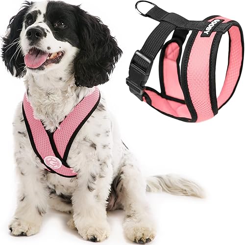 Gooby Comfort X Head-In - Arnés para perro con diseño en X patentado anti ahogo y anti tirones para perros pequeños o medianos, para uso en Gooby Comfort X Head-In - Arnés para perro con diseño en X patentado anti ahogo y anti tirones para perros pequeños o medianos, para uso en
