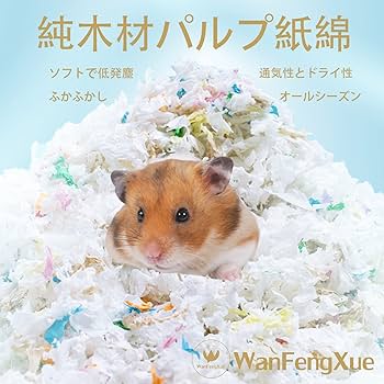 Amazon | 100g ハムスター 床材 紙 マルチカラー 柔らかい