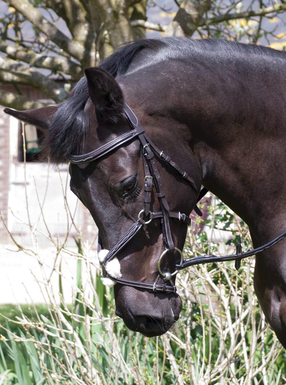 Rhinegold Elegance Stitched Mexican Bridle-Cob-Havana