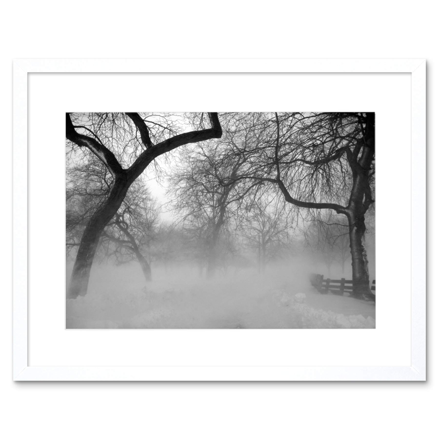 Wee Blue Coo Nature Landscape Forest Snow Fog Ice Winter Black White Framed Wall Art Print