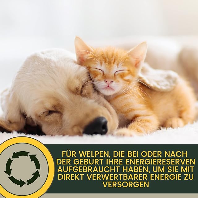 Foto 4 de 8 de Gatos Multivitaminas I Pasta de vitaminas para Gatos 15ml I Complejo vitamínico B I Vitaminas B con Vitamina…