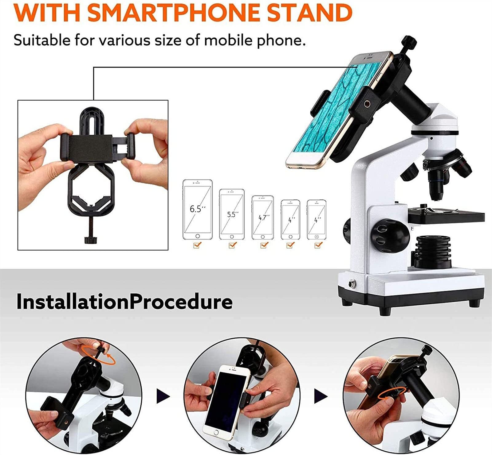 40-1600X Microscopi for i Bambini Studenti Adulti Potente Formazione biologici Microscopi con scivoli Set Adattatore telefonico
