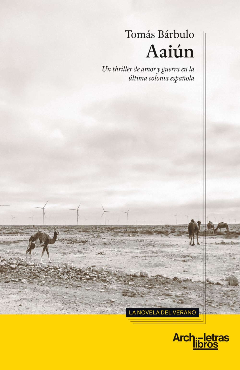 Aaiún: Un thriller de amor y guerra en la última colonia española: 1 (La novela del verano)