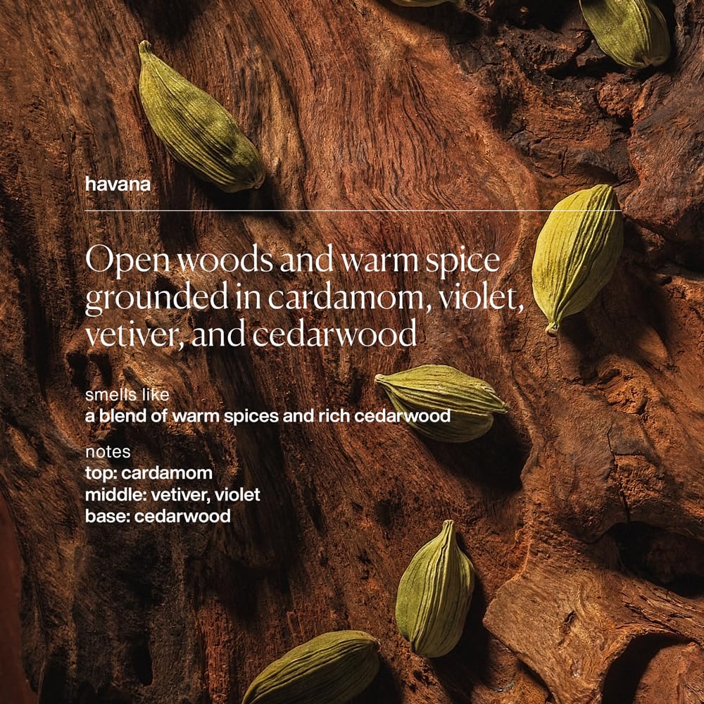 evolvetogether Restorative Hand Wash Refill | Havana – Cardamom, Vetiver & Cedarwood | Hydrating, Non-Stripping Cleanse, 24-Hour Moisture | Vegan, Cruelty-Free, Sulfate-Free | 25.36 fl oz, 2 Refills - Image 3