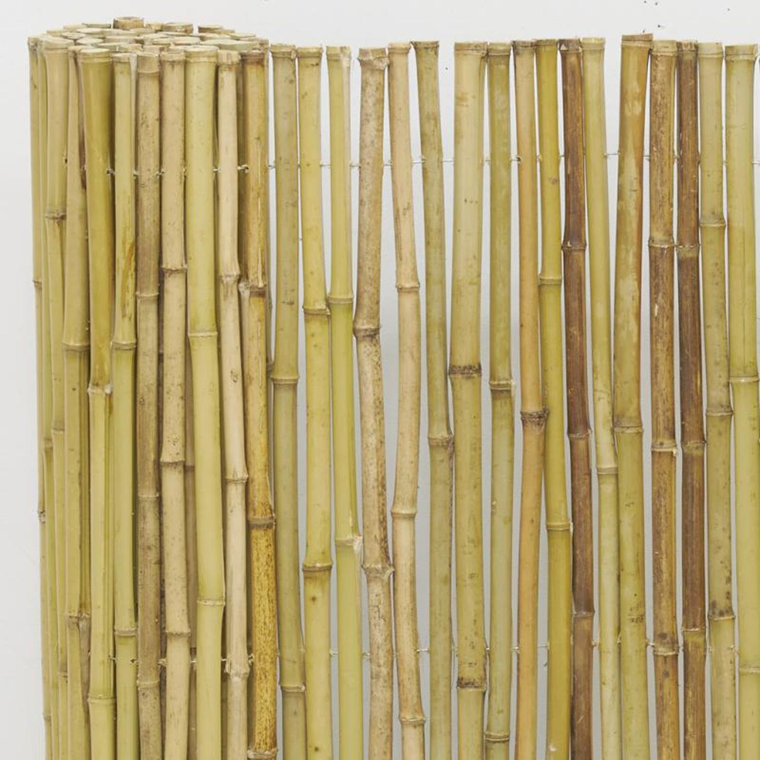AUBRY GASPARD - Canisse en Bambou Rond - avec Fil De Fer Galvanisé - Brise Vue Jardin occultant - Livré en Rouleau avec Sac de Transport - Jardin et Terrasse - Résistant aux intempéries - 100x180 cm