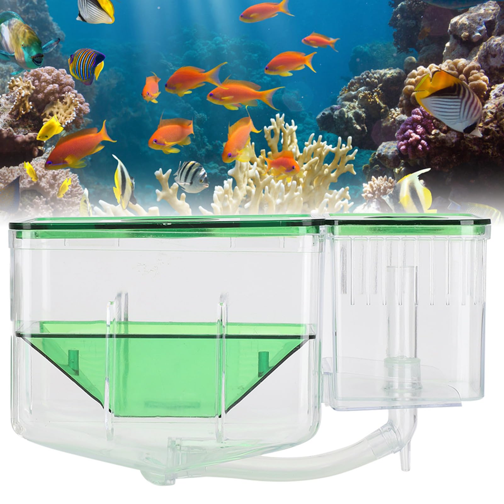 ZJchao Incubadora de Acuario, Caja de Cría para Peces Pequeños con Aislamiento de Doble Capa, Evita Ataques de Peces Adultos para Peces Heridos, Camarones, Peces Payaso, Criadores de