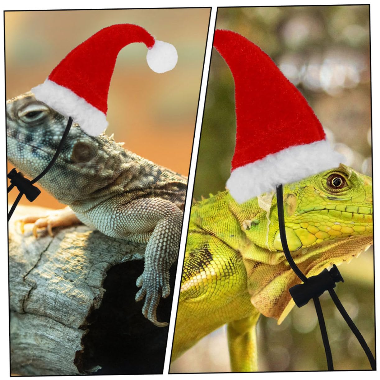 BESPORTBLE 2sets Accessori Per Rettili Guinzaglio Cappello e Sciarpa Per Lucertole Decorazioni Festive Per All