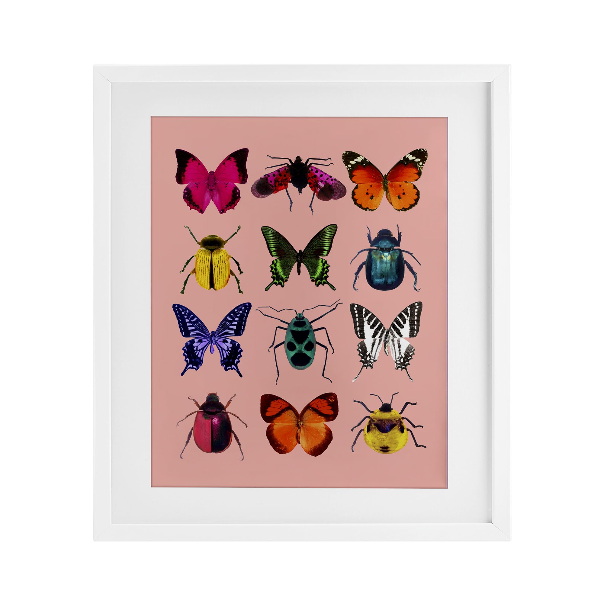 Cadre d'art insectes premium Stupell Industries 53x43cm