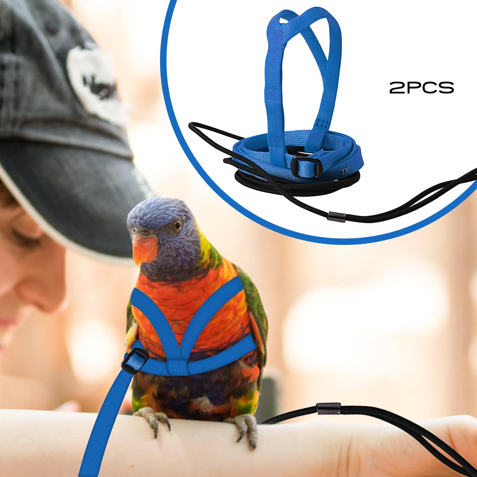 2 pcs Pet Parrot Bird Harness and Leash, Adjustable Training Design Anti-Bite - Image 2