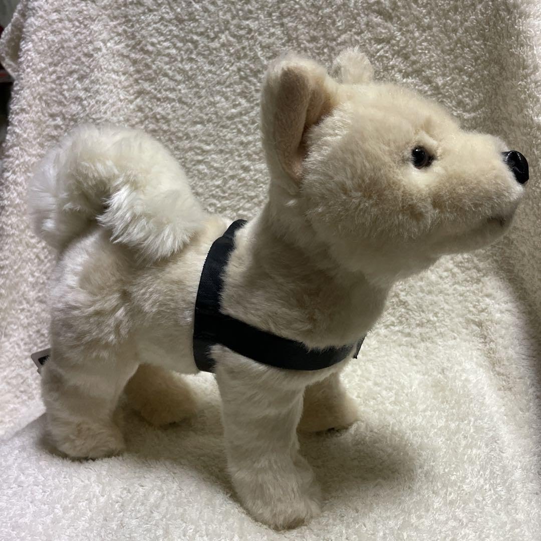 レア　国立科学博物館　秋田犬　ハチ　ぬいぐるみ　おすわり　ハチ号 レア 国立科学博物館 秋田犬 ハチ ぬいぐるみ おすわり ハチ号
