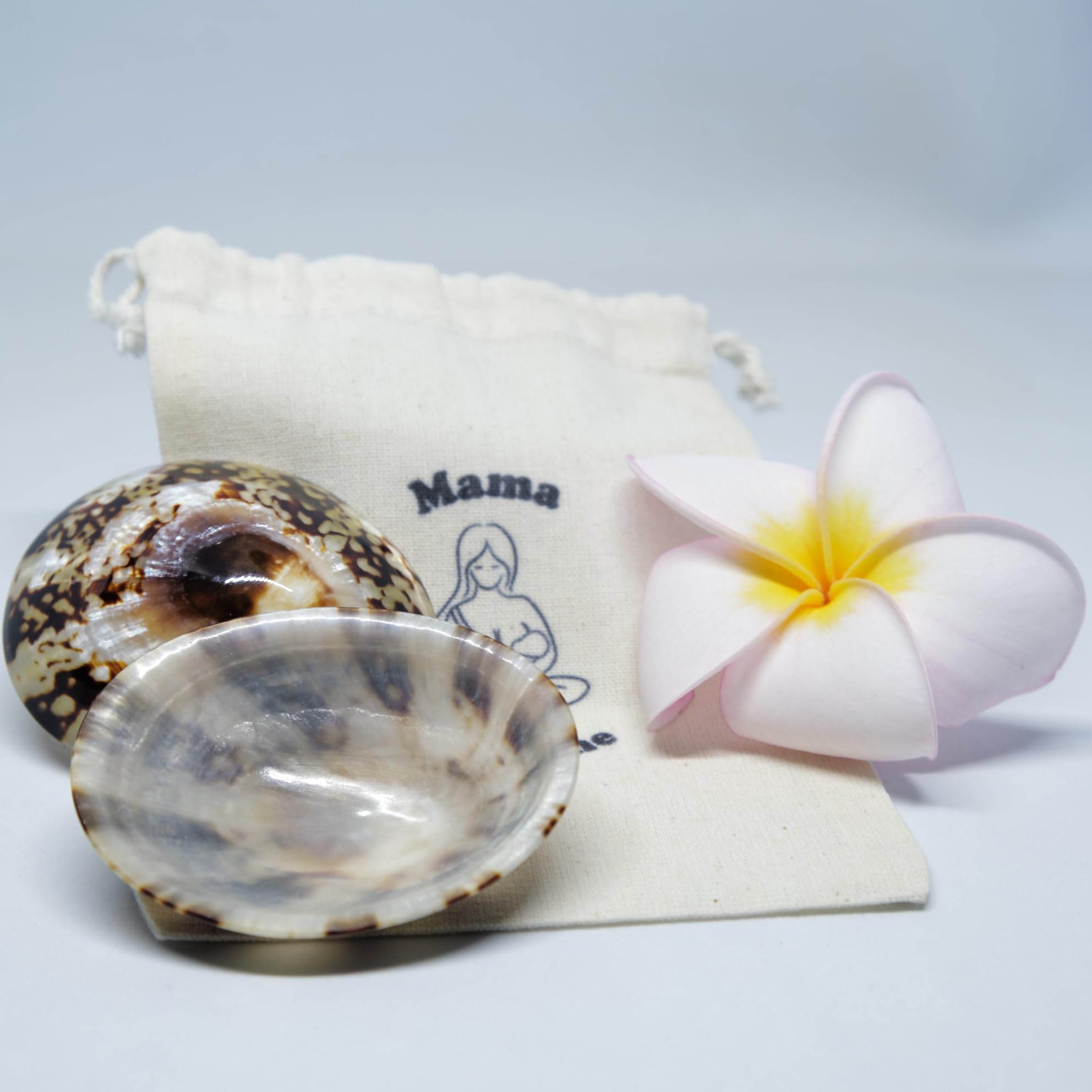 Coquillages d’Allaitement Mama Sunshine – Nacre Naturelle – Protège-Mamelons Réutilisables – Boîte Rigide + Pochette – Taille M (5,5 à 6 cm)