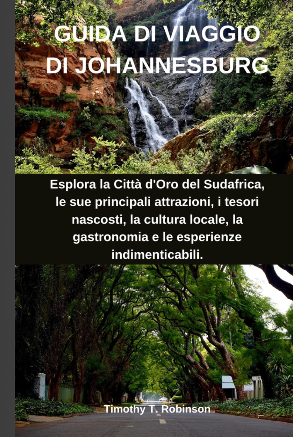 GUIDA DI VIAGGIO DI JOHANNESBURG: Esplora la Città d'Oro del Sudafrica, le sue principali attrazioni, i tesori nascosti, la cultura locale, la gastronomia e le esperienze indimenticabili.
