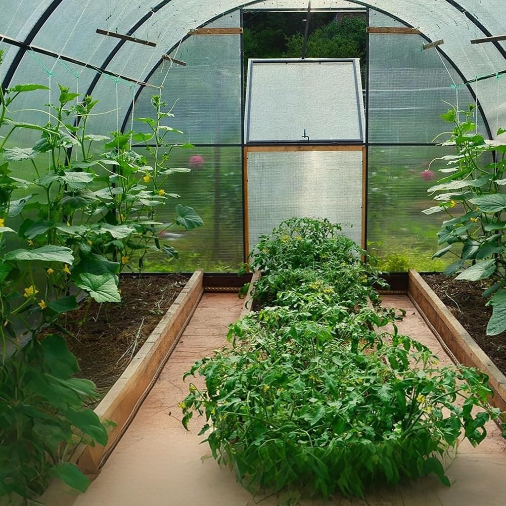 Rygcrud Pannelli per Serre in Policarbonato, Sostituzione Fai da Te Lastre per Coperture Fibra di Vetro, Resistenza agli Urti E Protezione dai Raggi UV, per Giardinaggio, Agricoltura(1.5x4m)