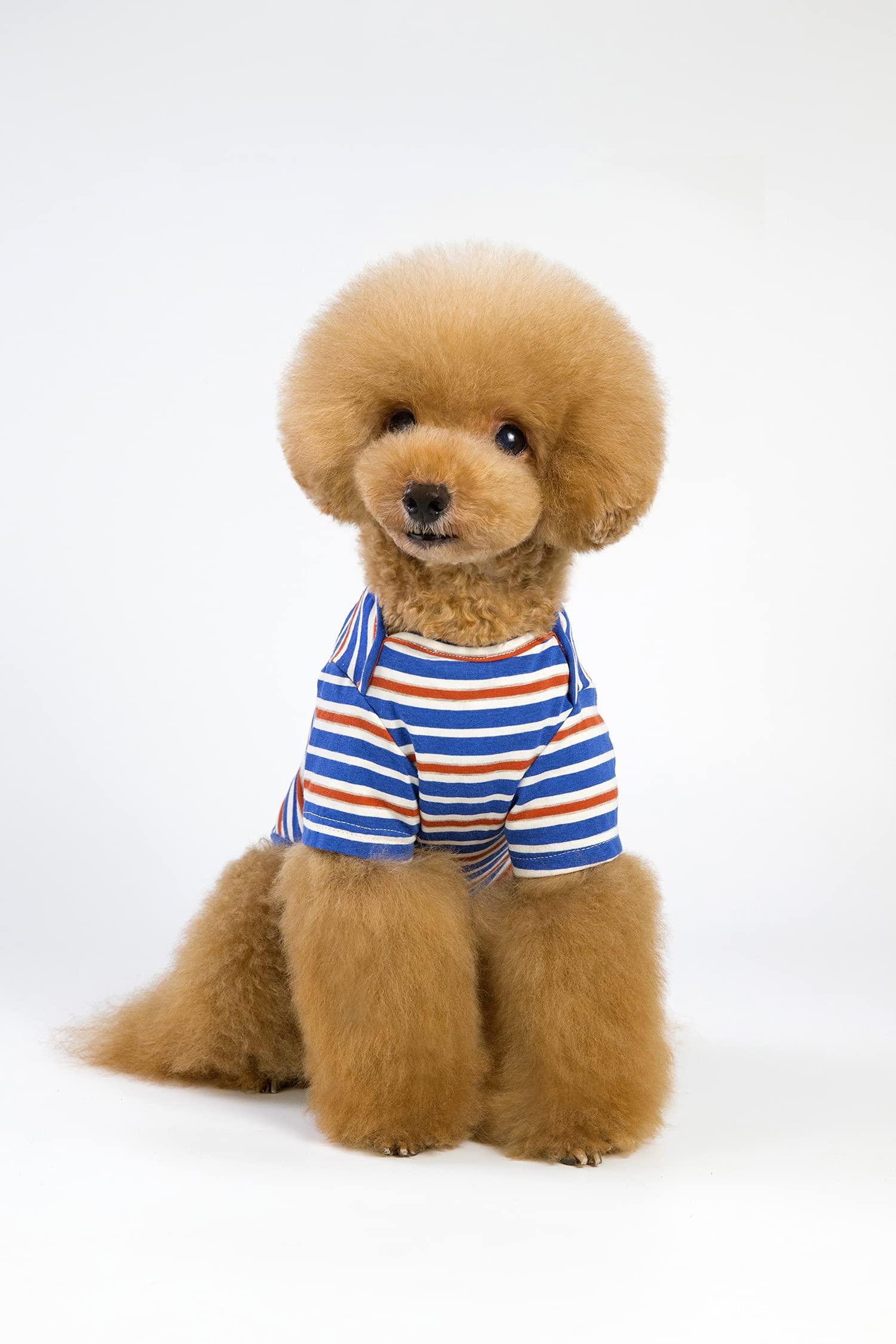 See full amazon price history chart for A+a Pets Soft Cotton T-Shirts for Dogs, Puppies & Cats (XXL, Blue) A+a Pets Soft Cotton T-Shirts for Dogs, Puppies & Cats (XXL, Blue) (B09C84TZV9) Amazon Price History, Amazon Price Tracker