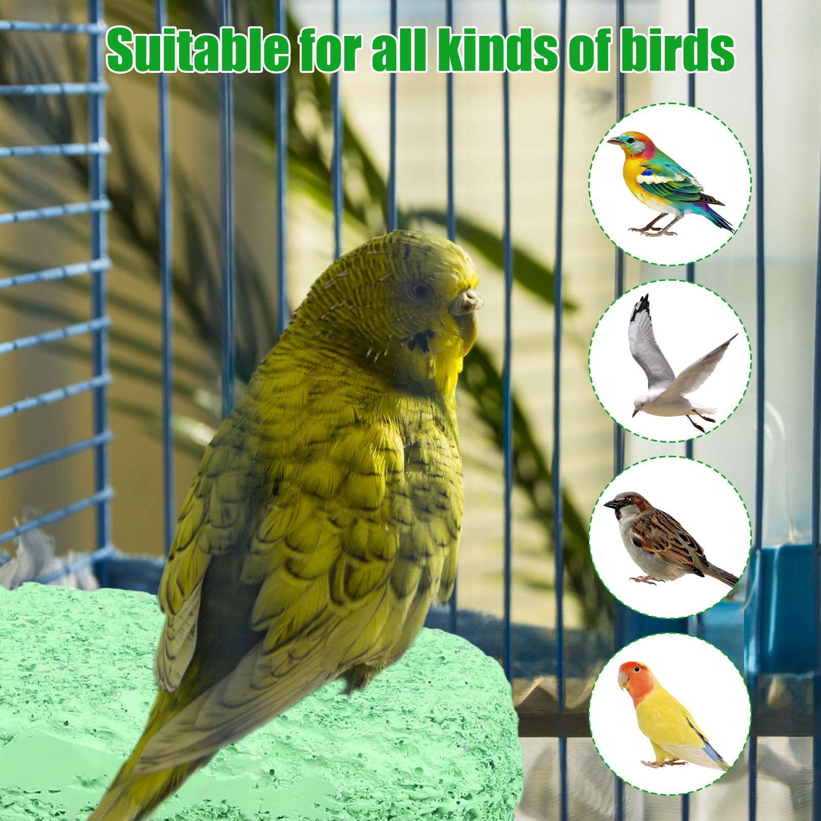 2pcs Anti-Slip Bird Beak Grinding Stones, Washable Resin Bird Beak Trimmer & Nail Filing Stand Platform Cage Accessories for Parrots Budgies Cockatiels Parakeets - image 7
