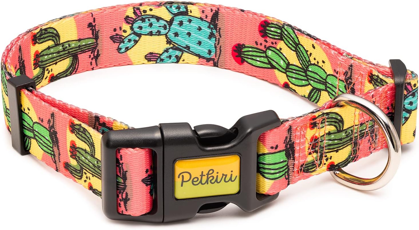 Buckle-Down Seatbelt Dog Collar - Candy Hearts Pattern 1 Inch Wide For 11-17 Inch Neck