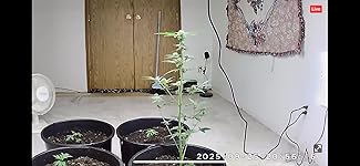 Review Image by Serenity Serenity