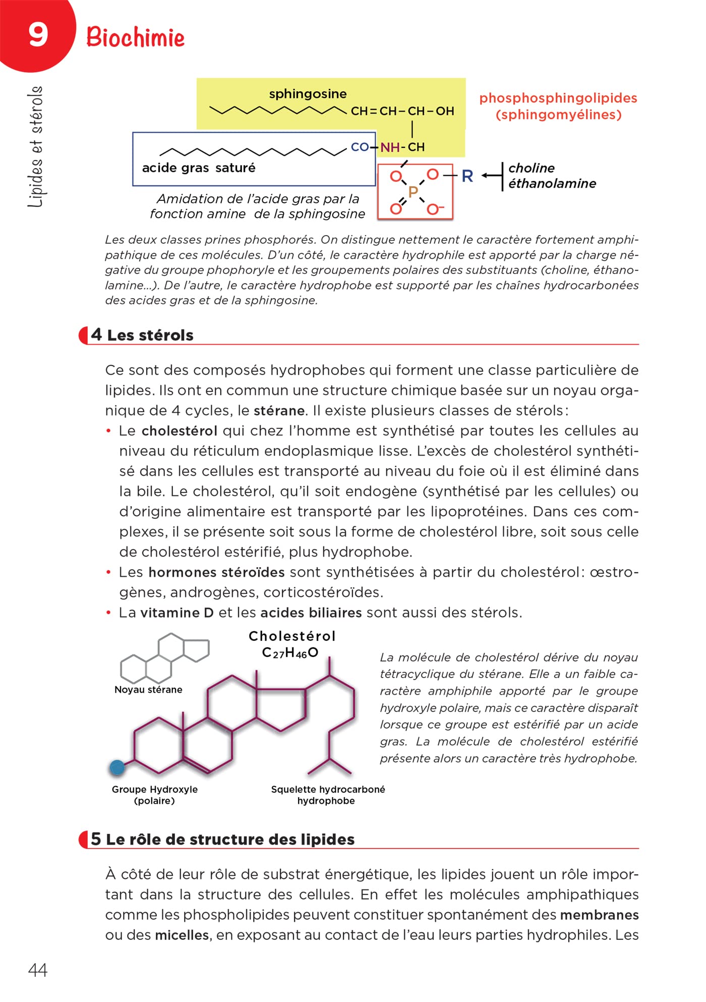 LAS - Licence Accès Santé - Tome 1 - 2e édition