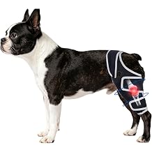 Adjustable Dog Hind Leg Knee Brace with Metal Side Stabilizers,Size S. | Toileting-Friendly Open Design Body-Anchored Fit Durable SBR Fabric,Leg Bracket for Protect and Support.
