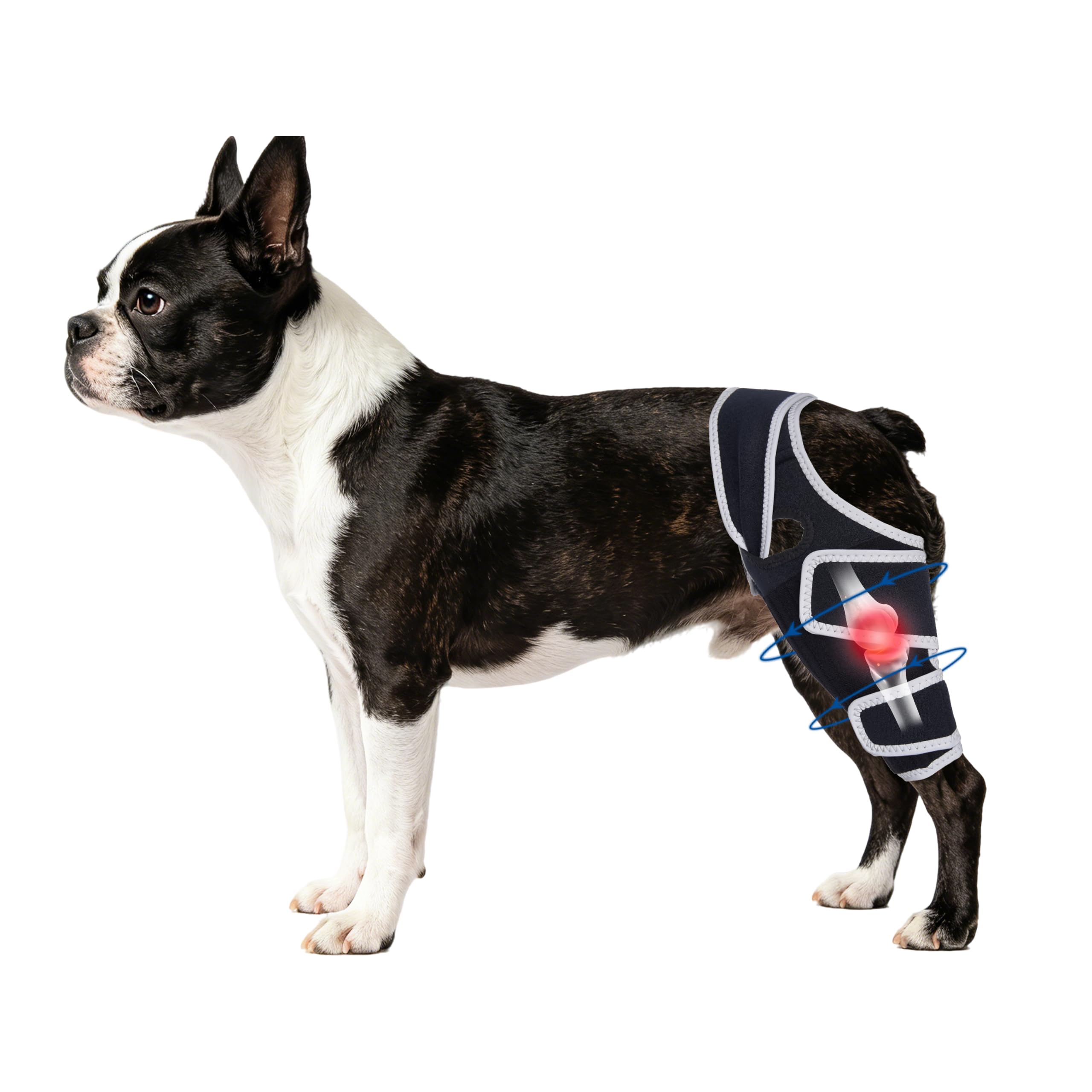 Dog Rear Leg Brace with Side Stabilizer for Left or Right Leg,S.