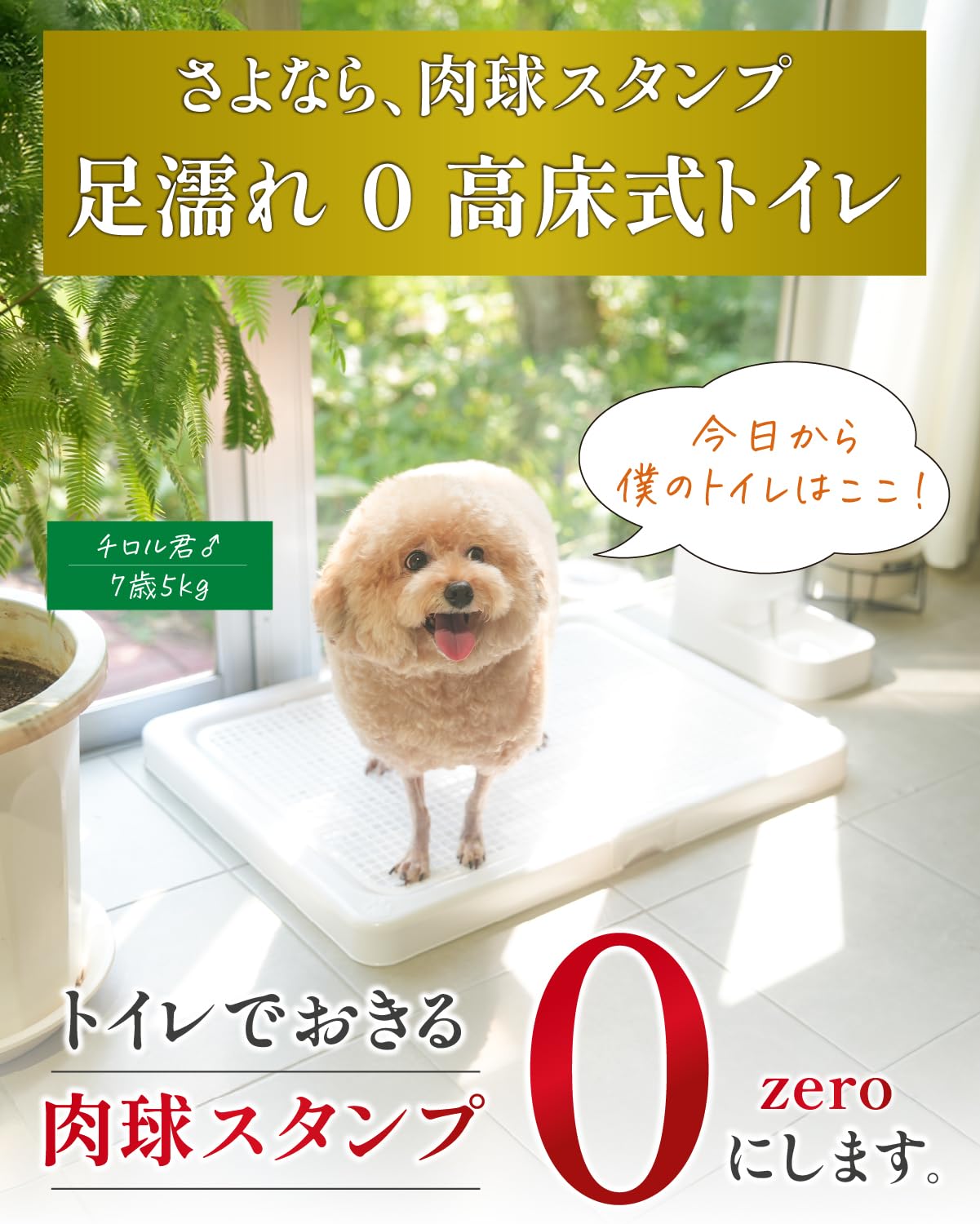 INULABO(イヌラボ) 犬 トイレ 高床式 大型犬 中型犬 トレー XXL Amazon | INULABO(イヌラボ) 犬 トイレ トレー 高床式 大型犬 中型犬