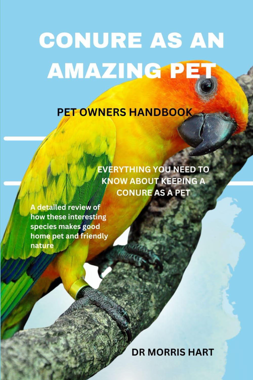 CONURE AS AN AMAZING PET: EVERYTHING YOU NEED TO KNOW ABOUT KEEPING A CONURE AS A PET