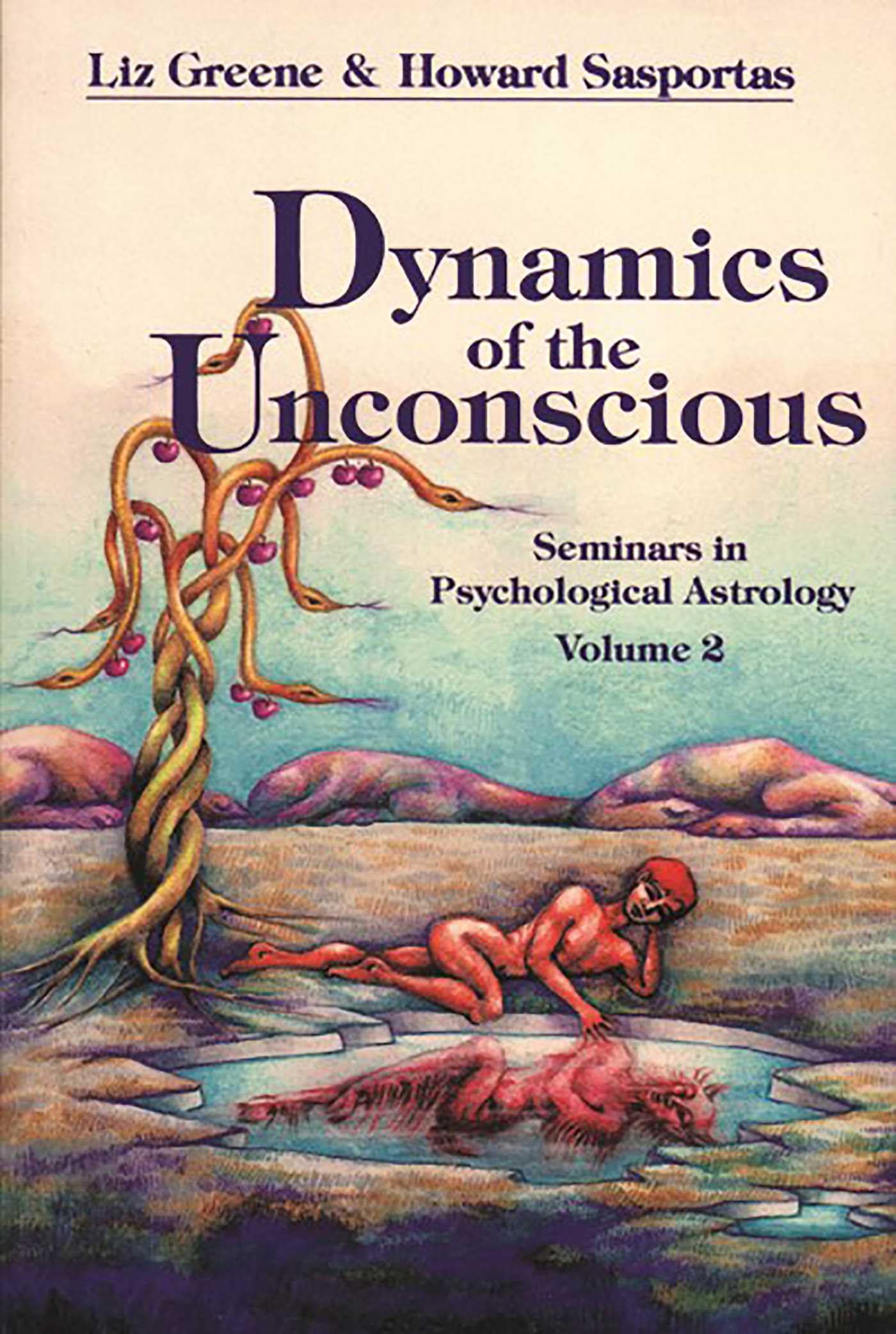 Dynamics of the Unconscious by Howard Sasportas (Paperback Book)