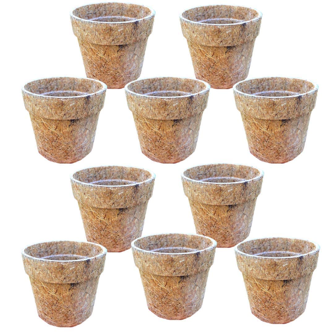 KURUPPATH GROUP Coir Pot, Coco Basket 4 INCH(10 cm) - 10 Pieces - Large Size Seedling Cups for Plants - Eco Friendly Coco Pots (B09V4MWHW4) Amazon Price History, Amazon Price Tracker
