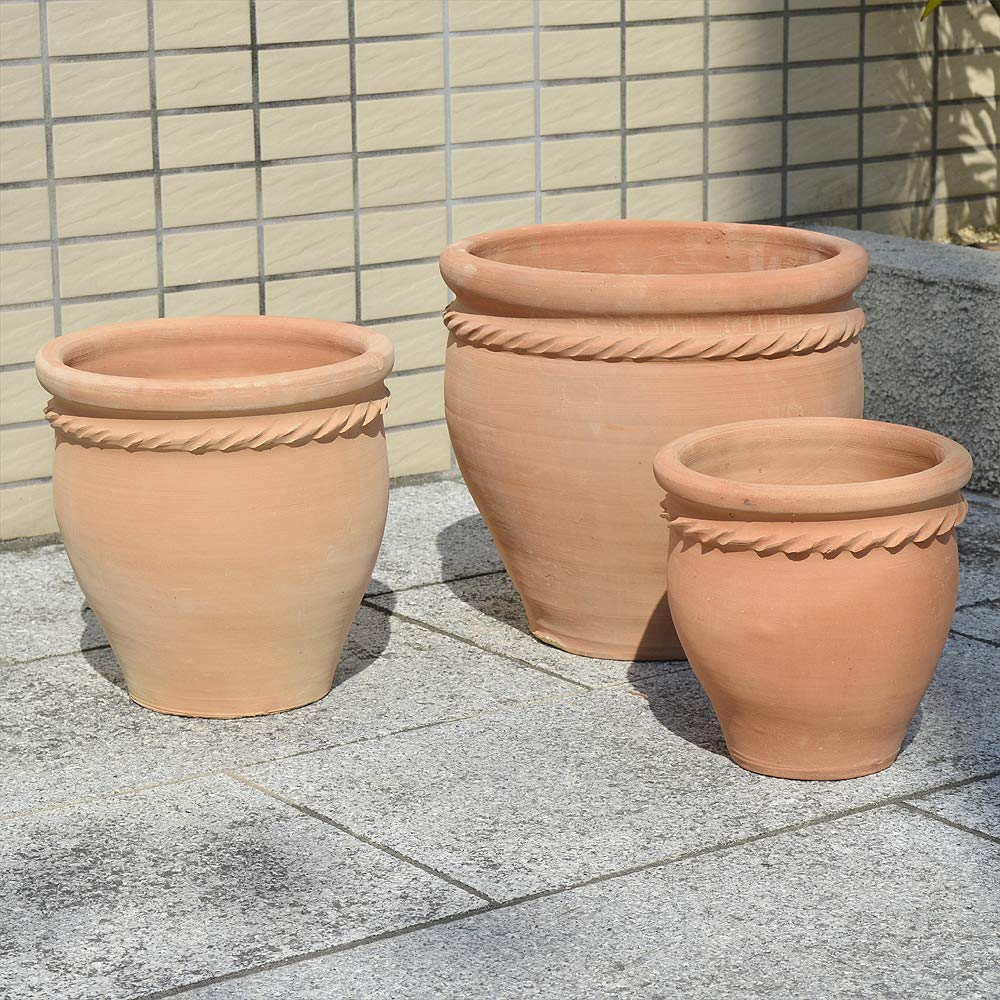 Amazon.co.jp: 国華園 鉢 (大)直径31cm×高さ29cm (中)直径25cm×高さ