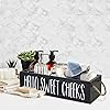 Product Photo 6