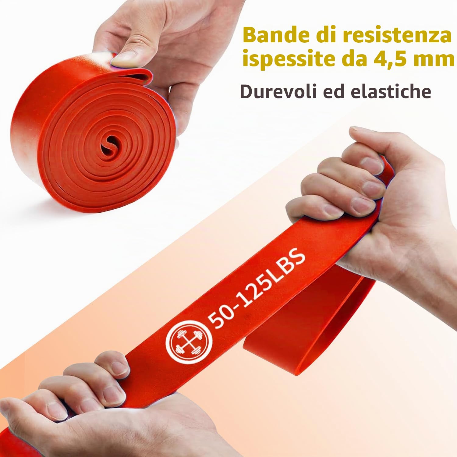 Set di 6 bande elastiche fitness,6 Livelli KG (6-77kg), Elastico Fitness per Trazioni, Bande Elastici Fitness con Borsa, Bande Elastiche di Resistenza,home gym,elastico palestra
