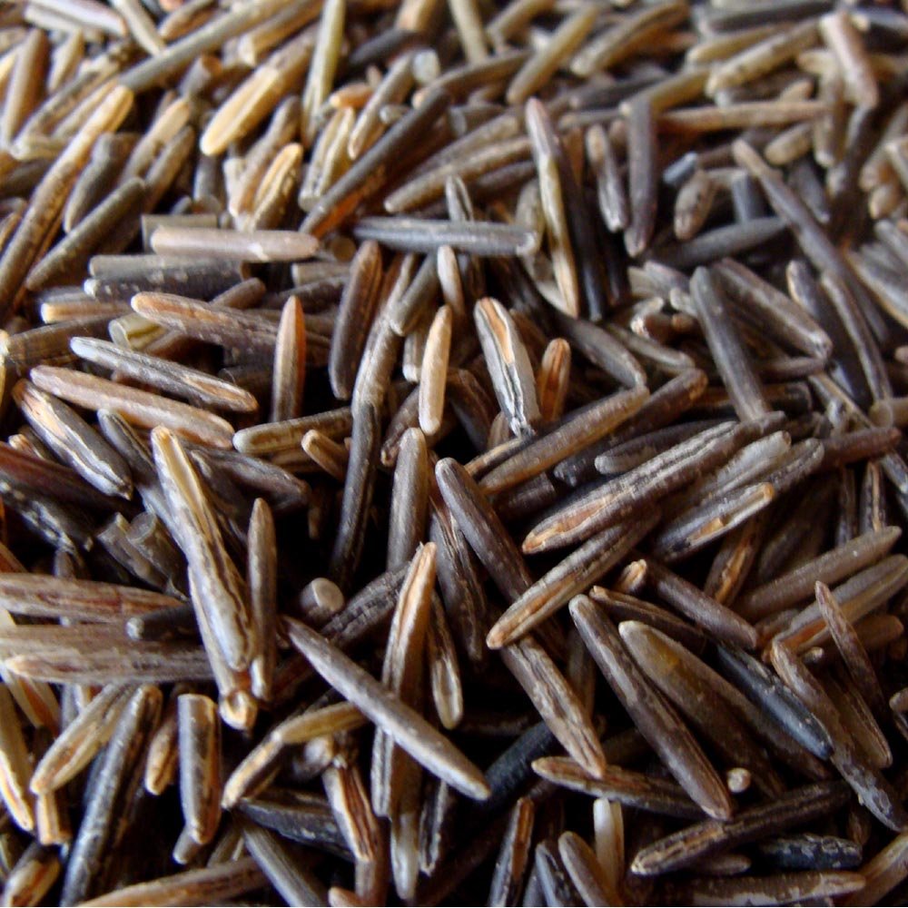 BINESHII'S FAMOUS CHEF’S RESERVE WILD RICE A RICH COFFEE COLOR WITH A VIBRANT TASTE ALL IT'S OWN.