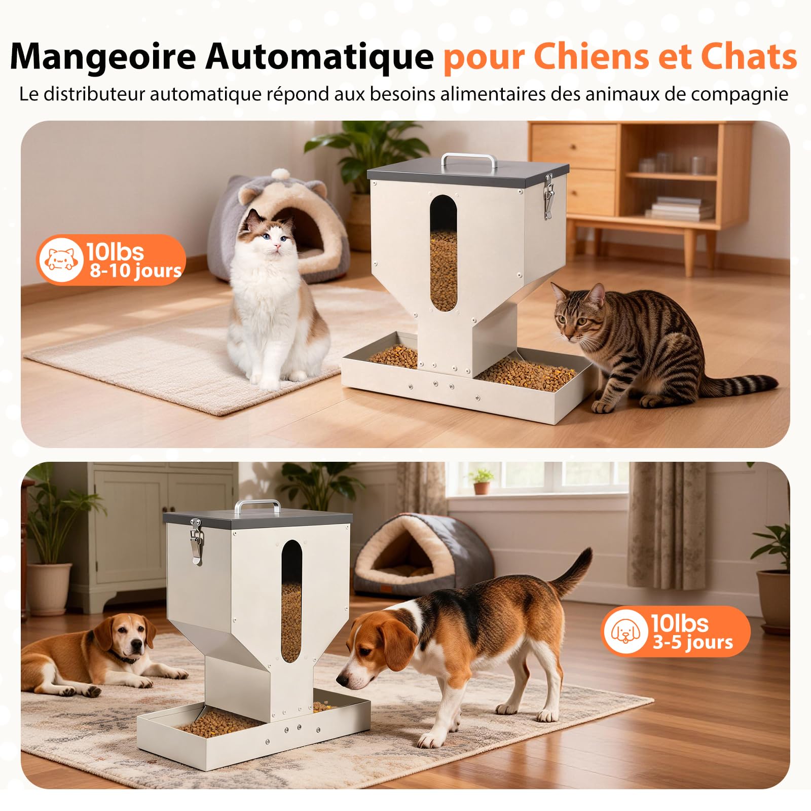 Distributeur Croquettes Chat Automatique, Gamelle Métal, 10L | Mangeoire à 2 Bols, Pour Plusieurs Chats et Petits Chiens, Solide, Simple à Nettoyer